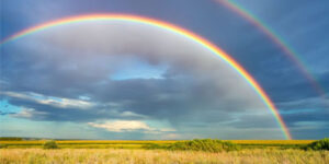 Fenómenos del clima